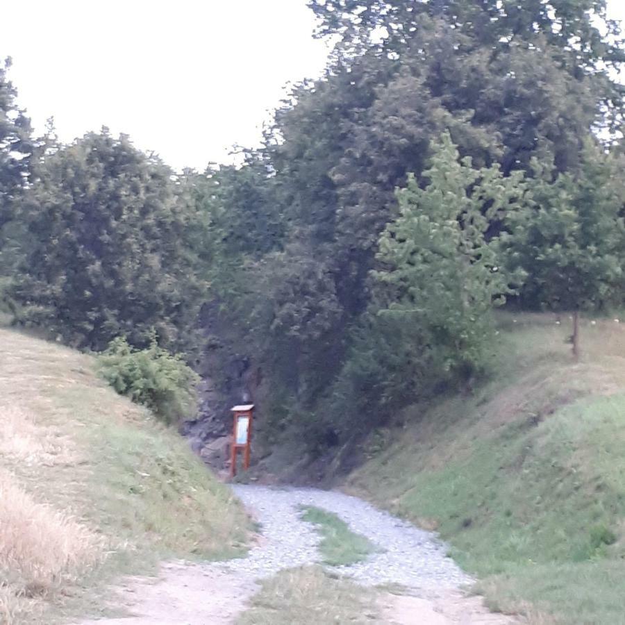 Agroturystyka "Jagap" Oaza Spokoju Dzierżoniów Exterior foto