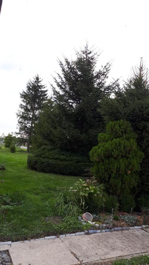 Agroturystyka "Jagap" Oaza Spokoju Dzierżoniów Exterior foto